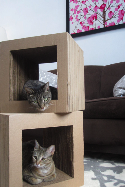 Cubism Meets Cardboard: The KittyBlock 