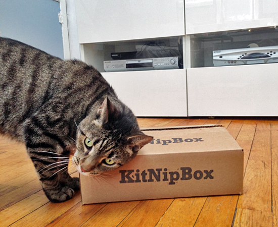 Kip and KitNipBox