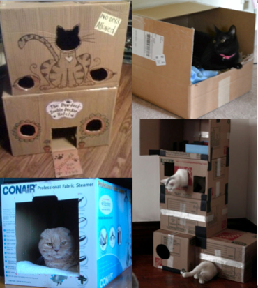 DIY cardboard cat houses 
