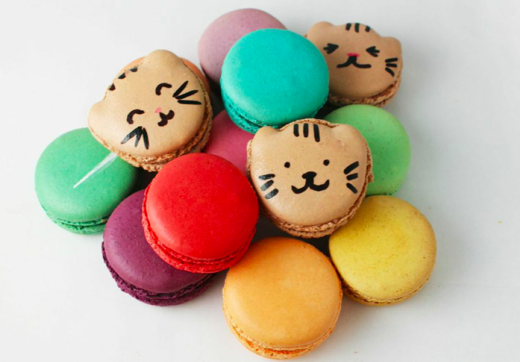 cat faced macaroons