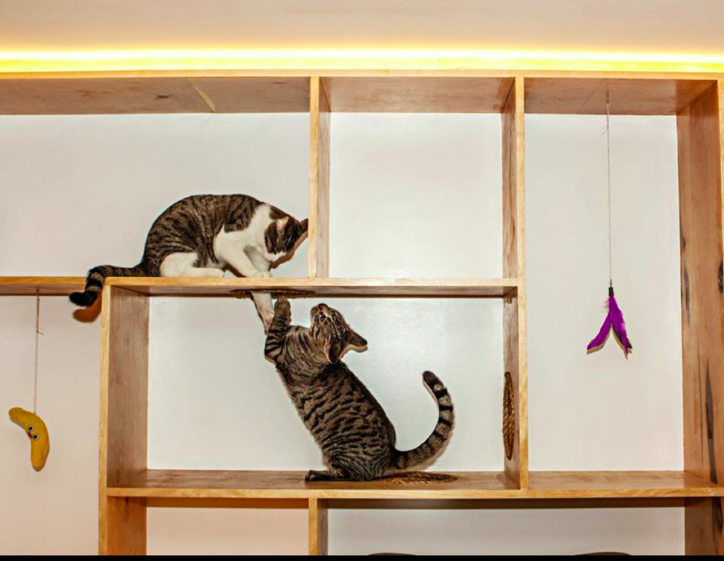 Meow Parlour, first cat cafe in New York