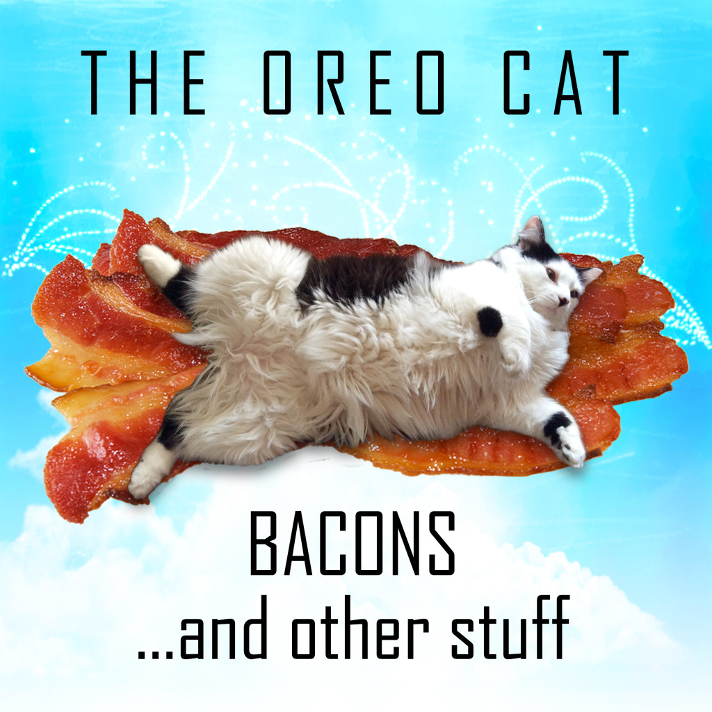 The Oreo Cat Bacons...and other stuff