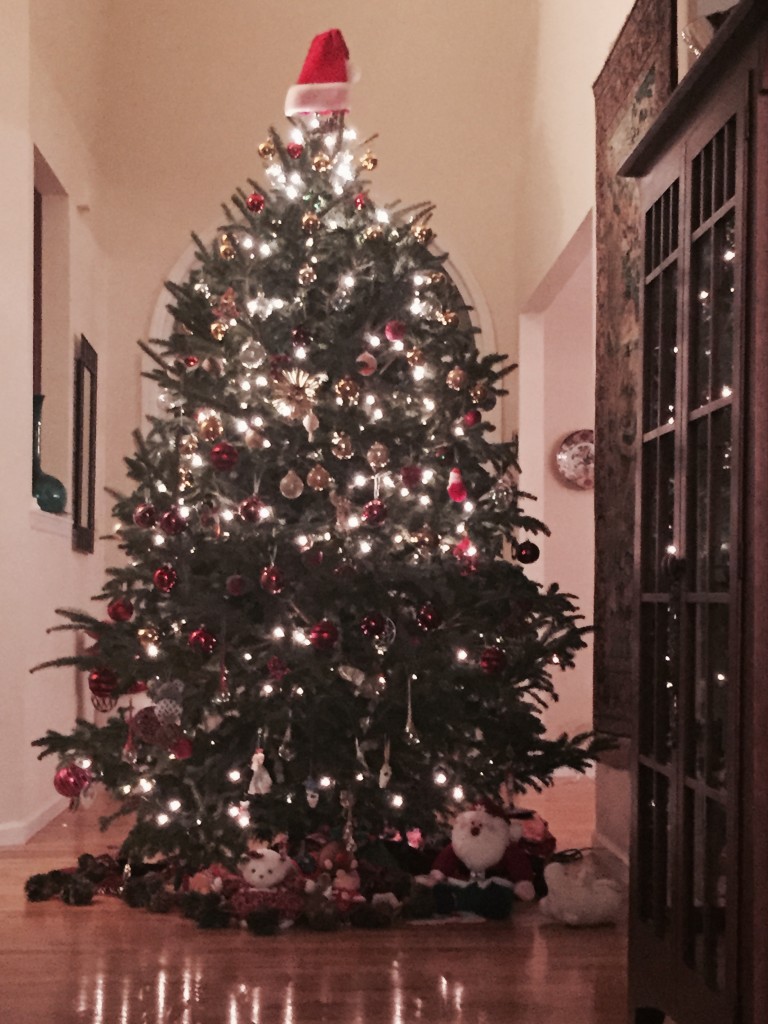 Our family christmas tree 2014