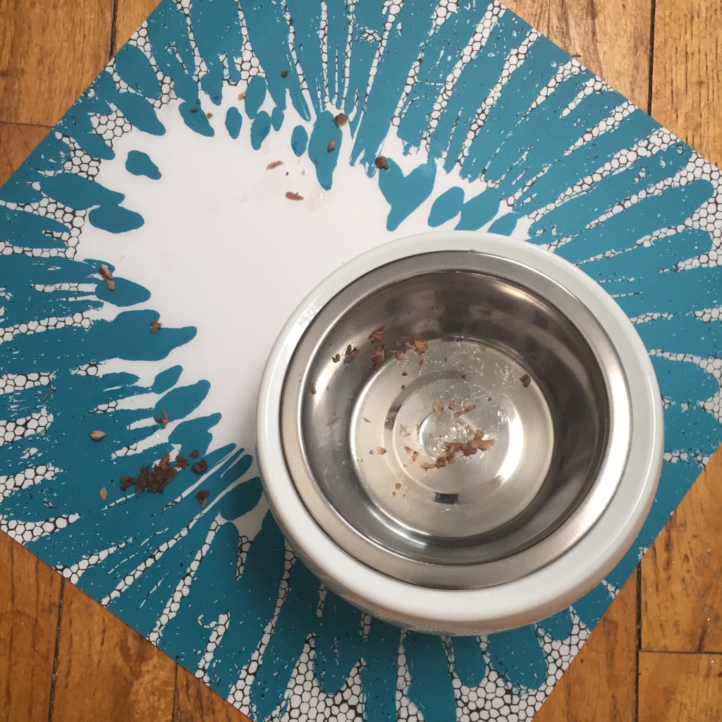 Solution for mealtime with a messy cat