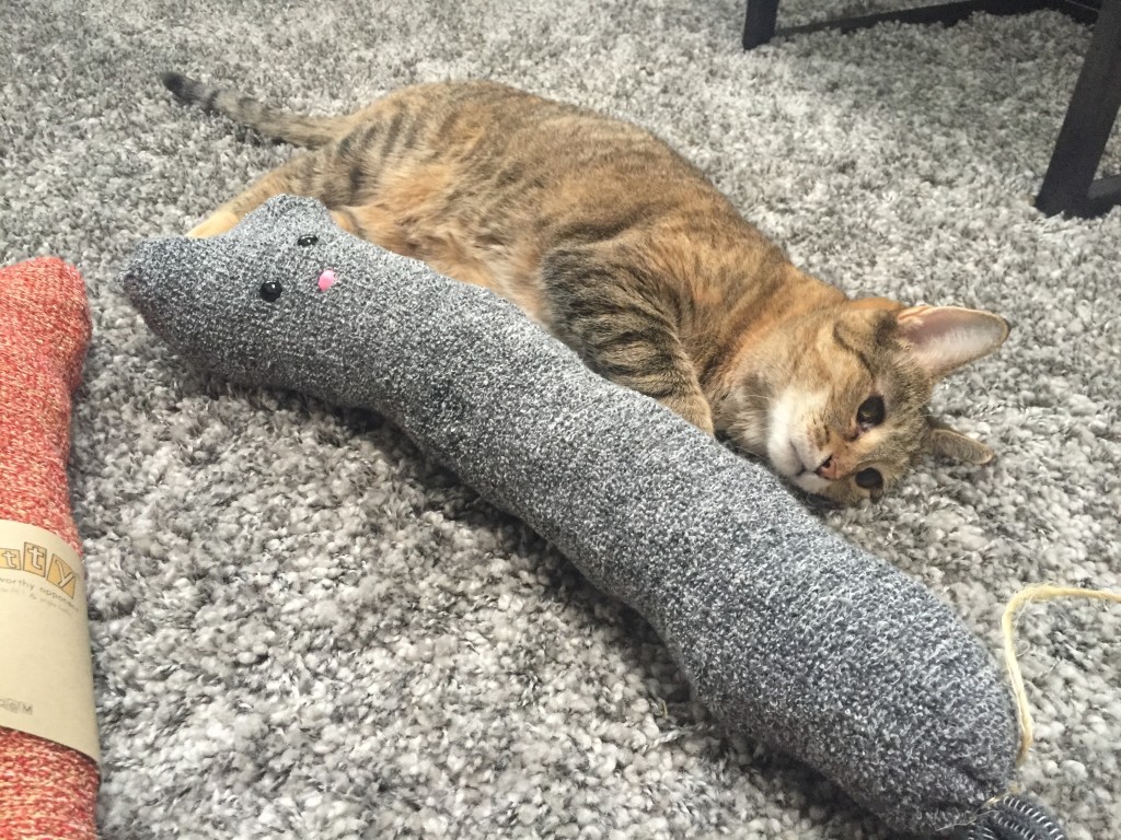 Haddie GoCatToys.com