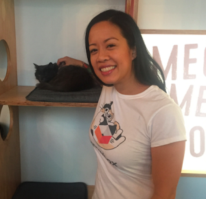 CatFe Vancouver Cat Cafe