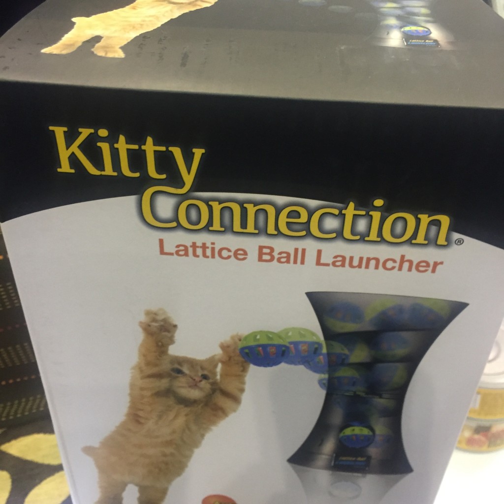 Kitty Connection