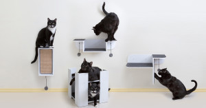 modern cat shelves and scratchers 