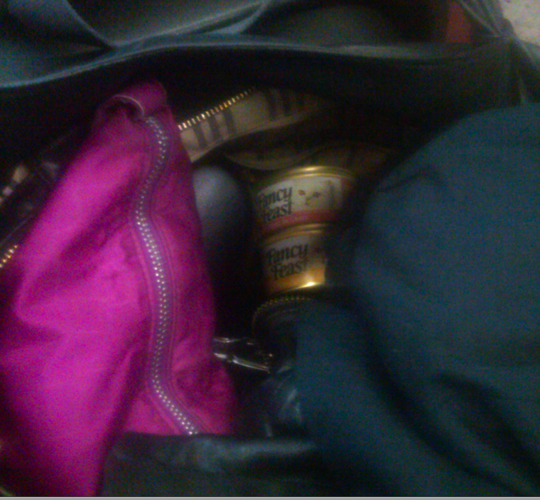 Went to jury duty with cat food in my purse