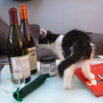 Careers for your Cats, California Wine Clubs, Tickle Pickle