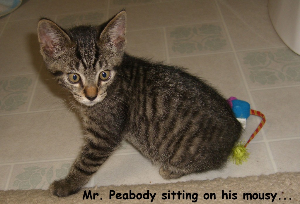 Mr. peabody sitting on mousy