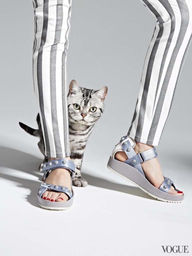 Vogue "The Cat and The Flat" Editorial