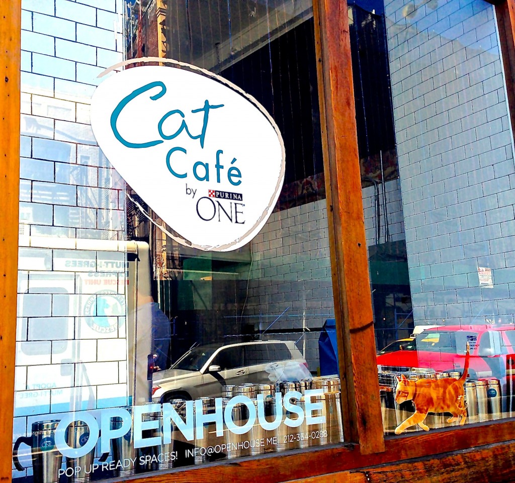 Purina One Cat Cafe NYC