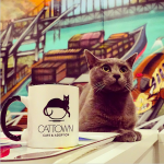 First ever cat cafe in America opens in Oakland