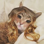 make-up app used on pets